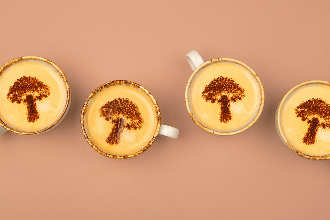 Mushroom Coffee in 2026: The Future of Functional Energy